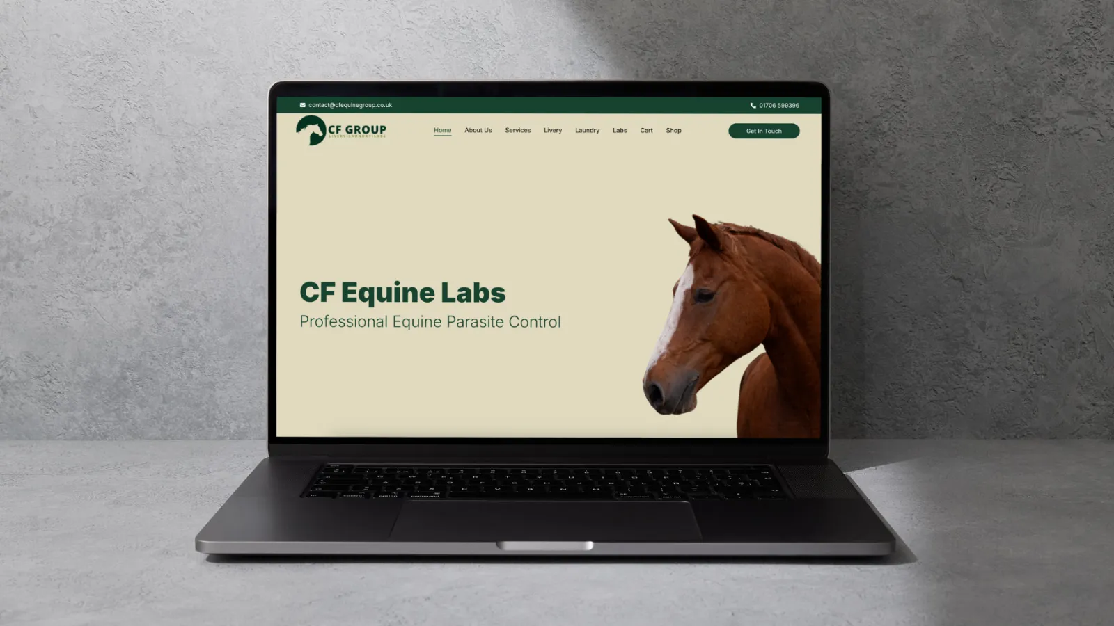 CF Equine Group 