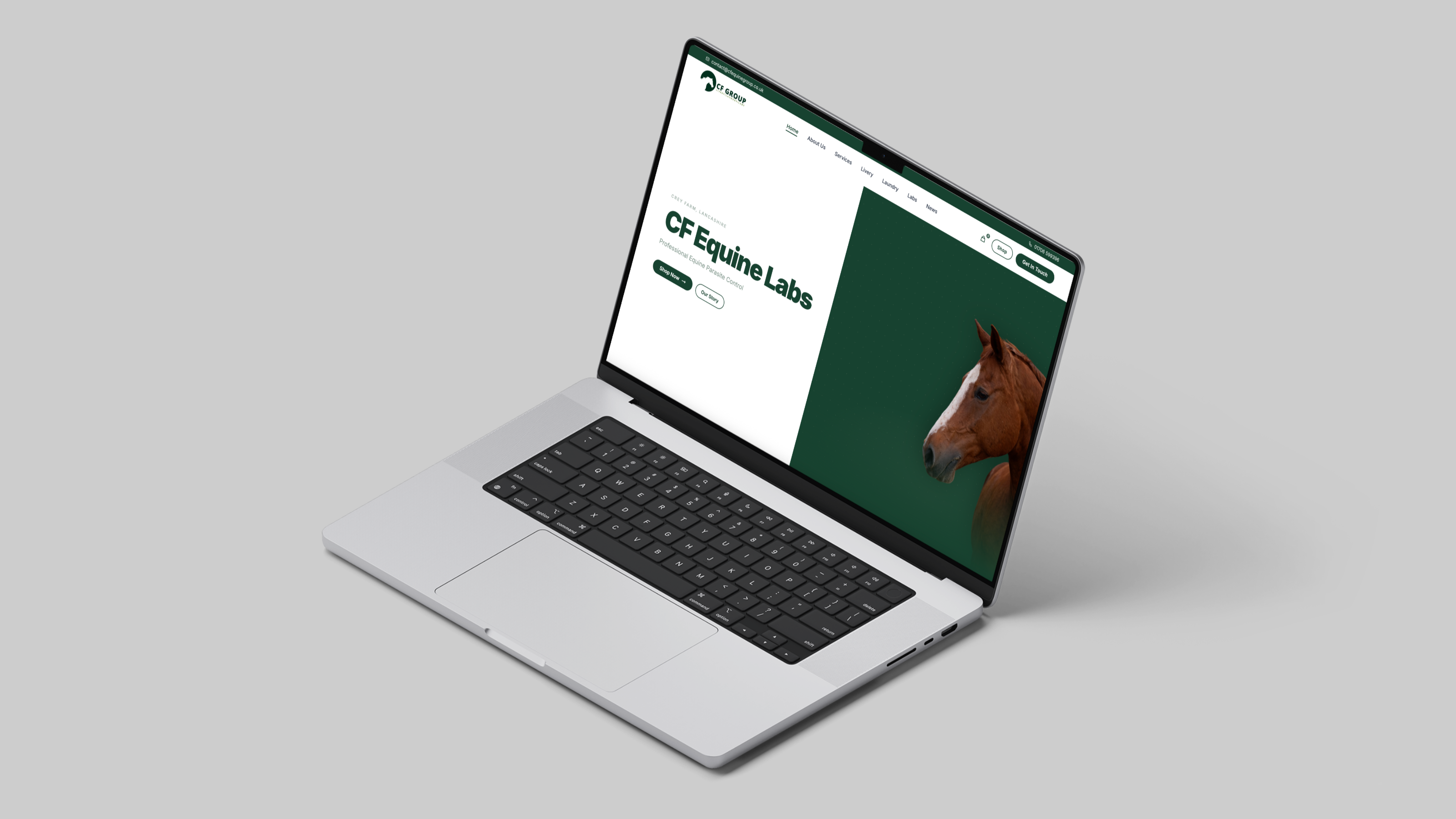 CFEquineGroup Redesign