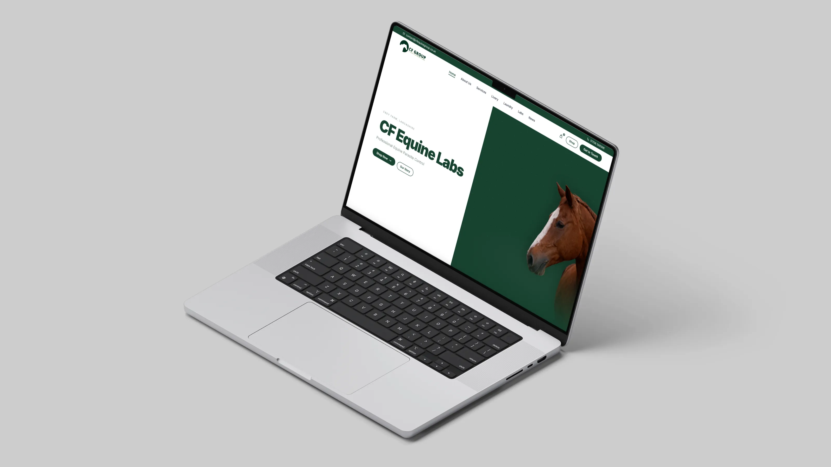 CFEquineGroup Redesign